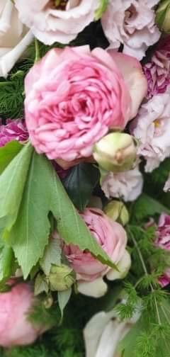 floralies de sannary sur mer par pétales de rose fleuriste à la tour d'aigues
